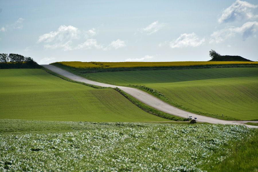 Copenhagen To Odense Travel By Train Dsb