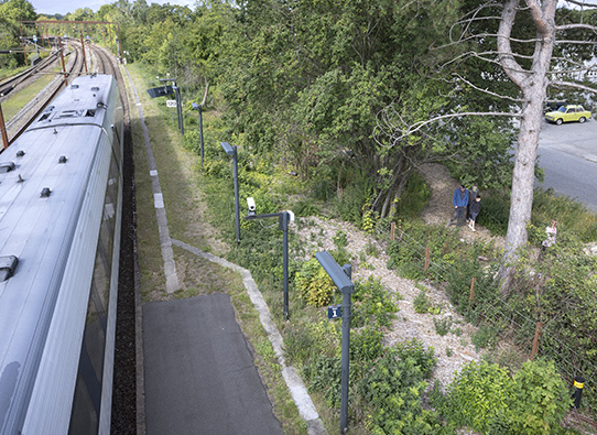 Ny stationshave er en del af DSB's arbejde for biodiversiteten